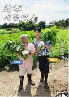 月光影院在线观看免费直播图鉴幕后工序插图，质检标签与放大镜